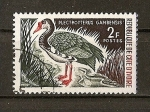 Stamps Ivory Coast -  Plectroterus Gambensis.