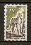 Stamps : Africa : Mauritania :  Guepard.