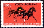 Stamps Romania -  ECUESTRE
