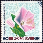 Stamps : Europe : Poland :  