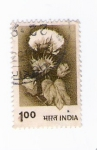 Stamps India -  Flor (repetido)