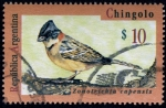 Stamps Argentina -  Chingolo