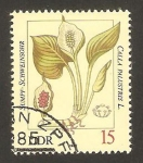 Stamps Germany -  plantas venenosas, calla palustris