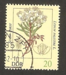 Sellos de Europa - Alemania -  2343 - Planta venenosa, ledum palustre