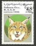 Stamps : Africa : Morocco :  lince
