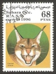 Stamps Morocco -  lince africano