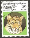 Stamps Morocco -  pantera