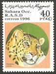 Sellos de Africa - Marruecos -  pantera