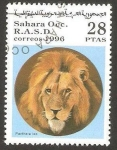 Stamps : Africa : Morocco :  león pantera