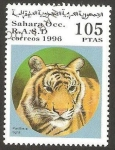 Stamps : Africa : Morocco :  pantera tigre