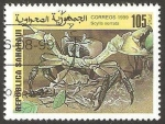 Stamps : Africa : Morocco :  fauna marina
