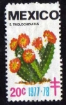 Stamps Mexico -  E.triglochidiatus - 20c