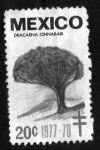 Stamps : America : Mexico :  Dracaena Cinnabari - 20c