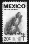 Stamps : America : Mexico :  Opuntia Dimorpha - 20c