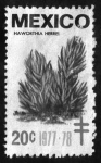 Stamps Mexico -  haworthia herrei - 20c