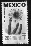 Stamps Mexico -  wilcoxia polselgeri - 20c