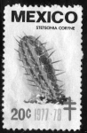 Stamps Mexico -  stetsonia coryne - 20c