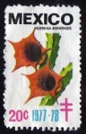 Stamps : America : Mexico :  Huernia keniensis - 20c