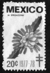 Stamps : America : Mexico :  M. spegazzinii - 20c