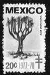 Stamps Mexico -  Aloe dichotoma - 20c