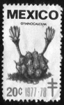 Stamps : America : Mexico :  Gymnocalcium - 20c