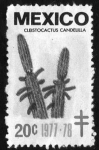 Stamps : America : Mexico :  clesrocactus candelilla - 20c