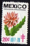 Stamps Mexico -  Noplaxochia Phyllanthoides - 20c