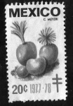 Stamps : America : Mexico :  C.Meyeri - 20c