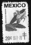 Stamps : America : Mexico :  Disocactus nelsonii - 20c