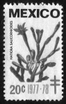 Stamps Mexico -  Hatiora Salicorniodes - 20c