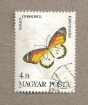 Sellos de Europa - Hungr�a -  Mariposa Danaus chrysippus