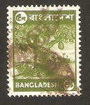 Sellos de Asia - Bangladesh -  arbol