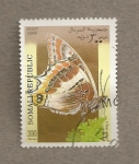 Stamps Africa - Somalia -  Charaxes jasius