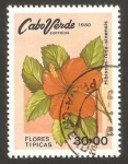 Stamps Africa - Cape Verde -  flora, hibiscus rosa sinensis