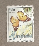 Stamps Cuba -  Mariposa Hypolimnas misippus