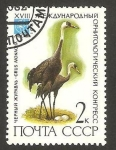 Stamps Russia -  4913 - Congreso internacional de ornitologia en Moscu