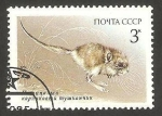 Sellos de Europa - Rusia -  5241 - fauna