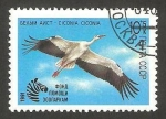 Stamps Russia -  Fauna, cigüeña blanca