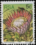 Sellos de Africa - Sud�frica -  Flor
