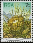Sellos del Mundo : Africa : Sudfrica : Flor