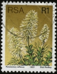 Stamps South Africa -  Flor