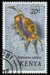 Stamps : Africa : Kenya :  Fauna Marina