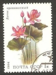 Stamps Russia -  flora