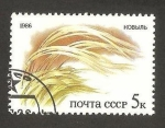 Stamps Russia -  flora