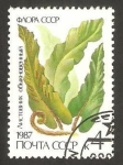 Stamps Russia -  flora
