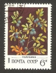 Stamps Russia -  4888 - flora