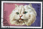 Stamps : Asia : Bahrain :  Gatos