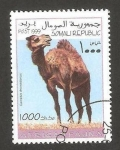 Stamps Somalia -  dromedario