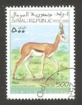 Stamps Somalia -  gacela