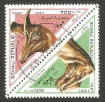 Stamps Africa - Somalia -  animales prehistoricos